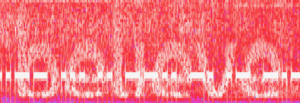 Spectrograph 1.png