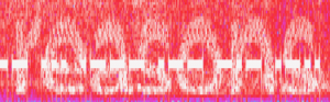 Spectrograph 3.png
